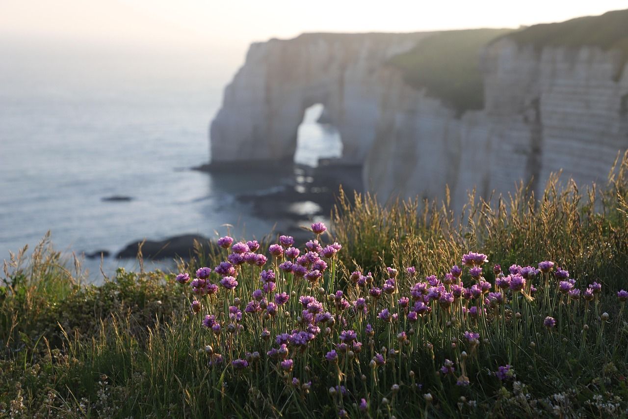 Faleza din Etretat
