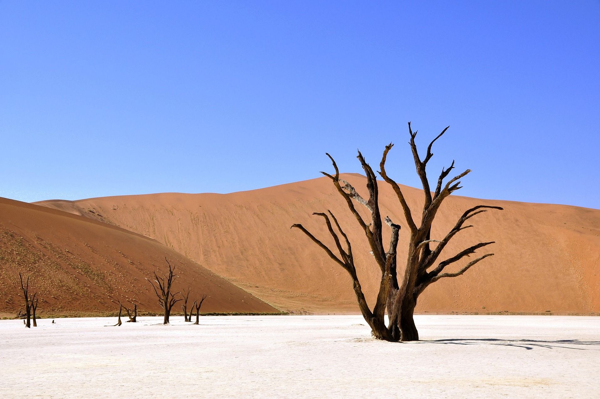 Desert In Namibia