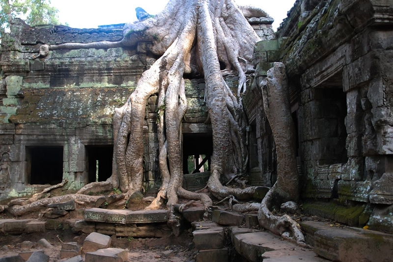 Angkor Wat, Cambodgia