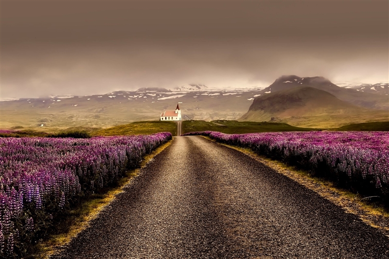 Peisaj din Islanda cu munti si vegetatie 
