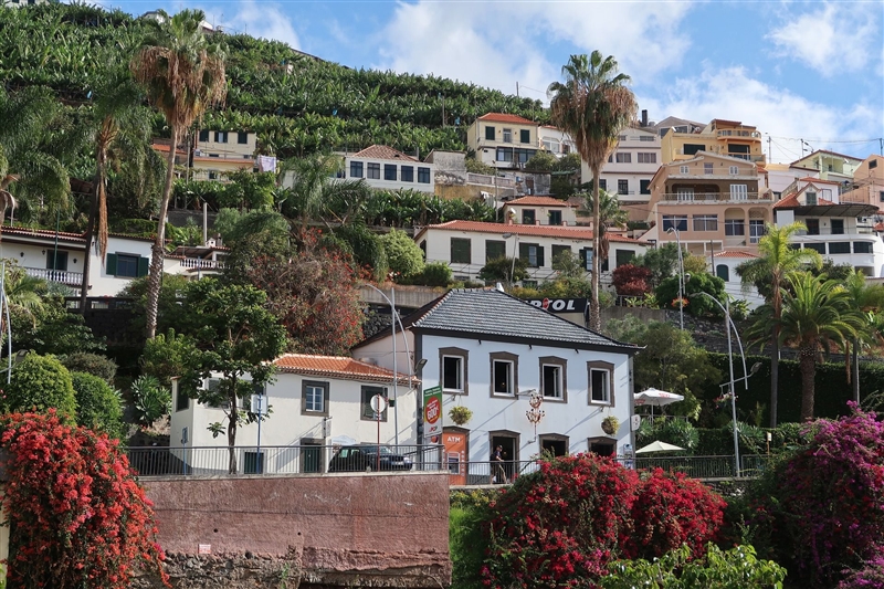 Vacanta Madeira