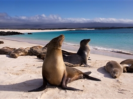 Circuit Ecuador - Galapagos · Circuit Ecuador - Galapagos