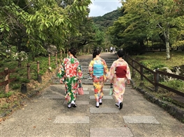 Circuit Japonia - o poveste intre traditie si modernitate · Circuit Japonia - o poveste intre traditie si modernitate