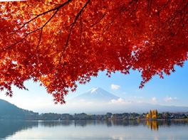 Circuit Japonia - Simfonia culorilor de toamna · Circuit Japonia - Simfonia culorilor de toamna