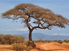 Circuit Kenya - Tanzania · Circuit Kenya - Tanzania