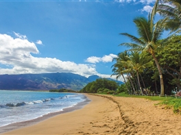 Circuit SUA - Coasta de Vest si Croaziera in Hawaii · Circuit SUA - Coasta de Vest si Croaziera in Hawaii