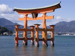 Japonia Ciresilor Infloriti - Tur Premium (25.03) · Japonia Ciresilor Infloriti - Tur Premium (25.03)
