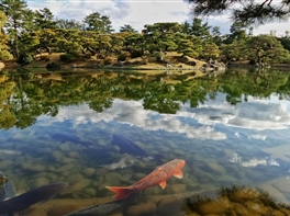 Japonia de la Nord la Sud (aprilie) · Japonia de la Nord la Sud (aprilie)
