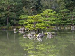 Japonia - tur esential (24 noiembrie) · Japonia - tur esential (24 noiembrie)