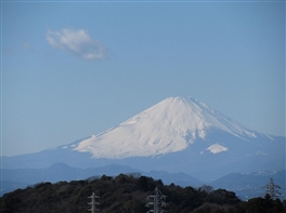 Japonia - Tur esential (30 mai) · Japonia - Tur esential (30 mai)