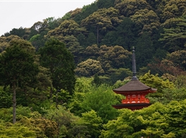 Japonia - Tur esential (31 mai) · Japonia - Tur esential (31 mai)