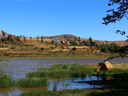 Paste in Madagascar, Reunion si Mauritius · Paste in Madagascar, Reunion si Mauritius